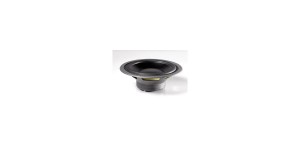 Dynaudio Esotec MW 182 10" Bass Woofer